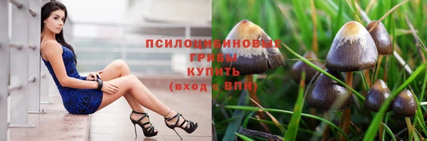 прущая мука Армянск