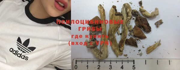 прущая мука Армянск
