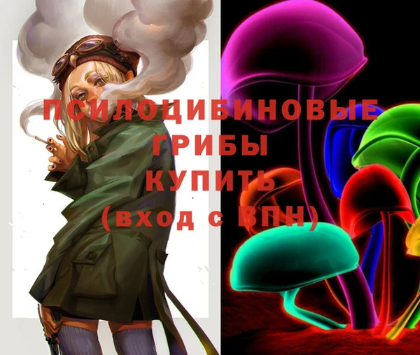 марки nbome Аркадак