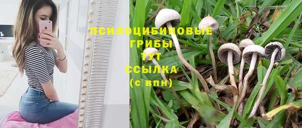 Альфа ПВП Арсеньев