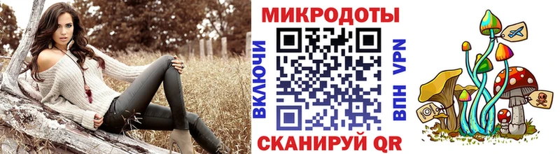 Галлюциногенные грибы мицелий как найти закладки omg рабочий сайт Змеиногорск